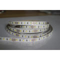 12V standard 2835 LED Strip light